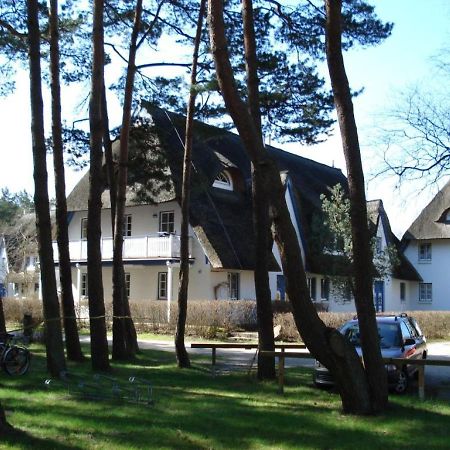 Zingst Achtern Diek 12D Elly Eksteriør bilde