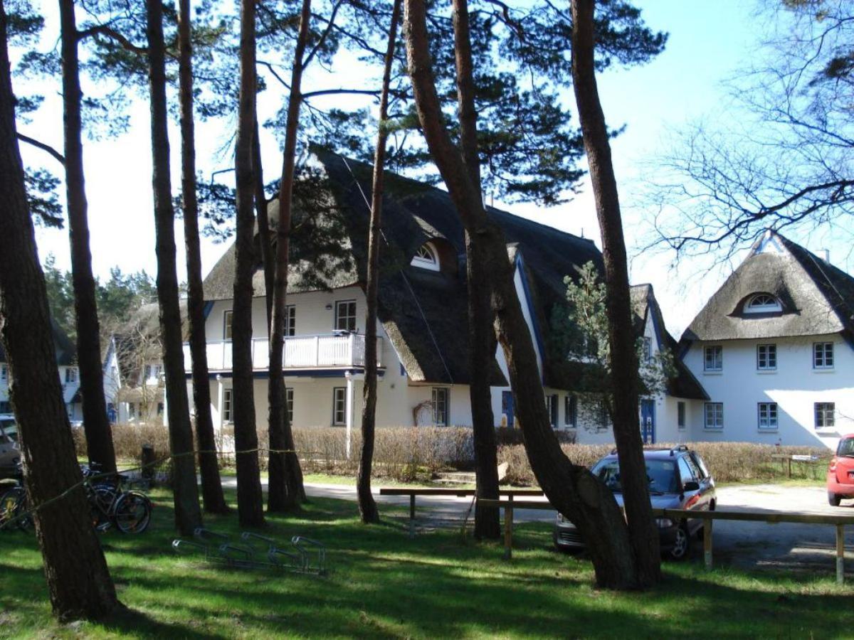 Zingst Achtern Diek 12D Elly Eksteriør bilde