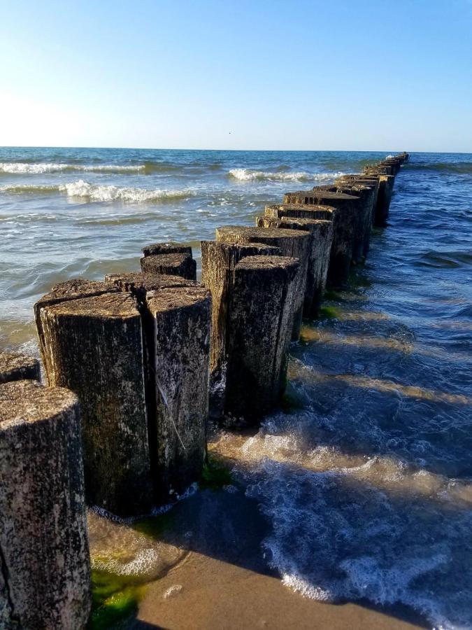 Zingst Achtern Diek 12D Elly Eksteriør bilde
