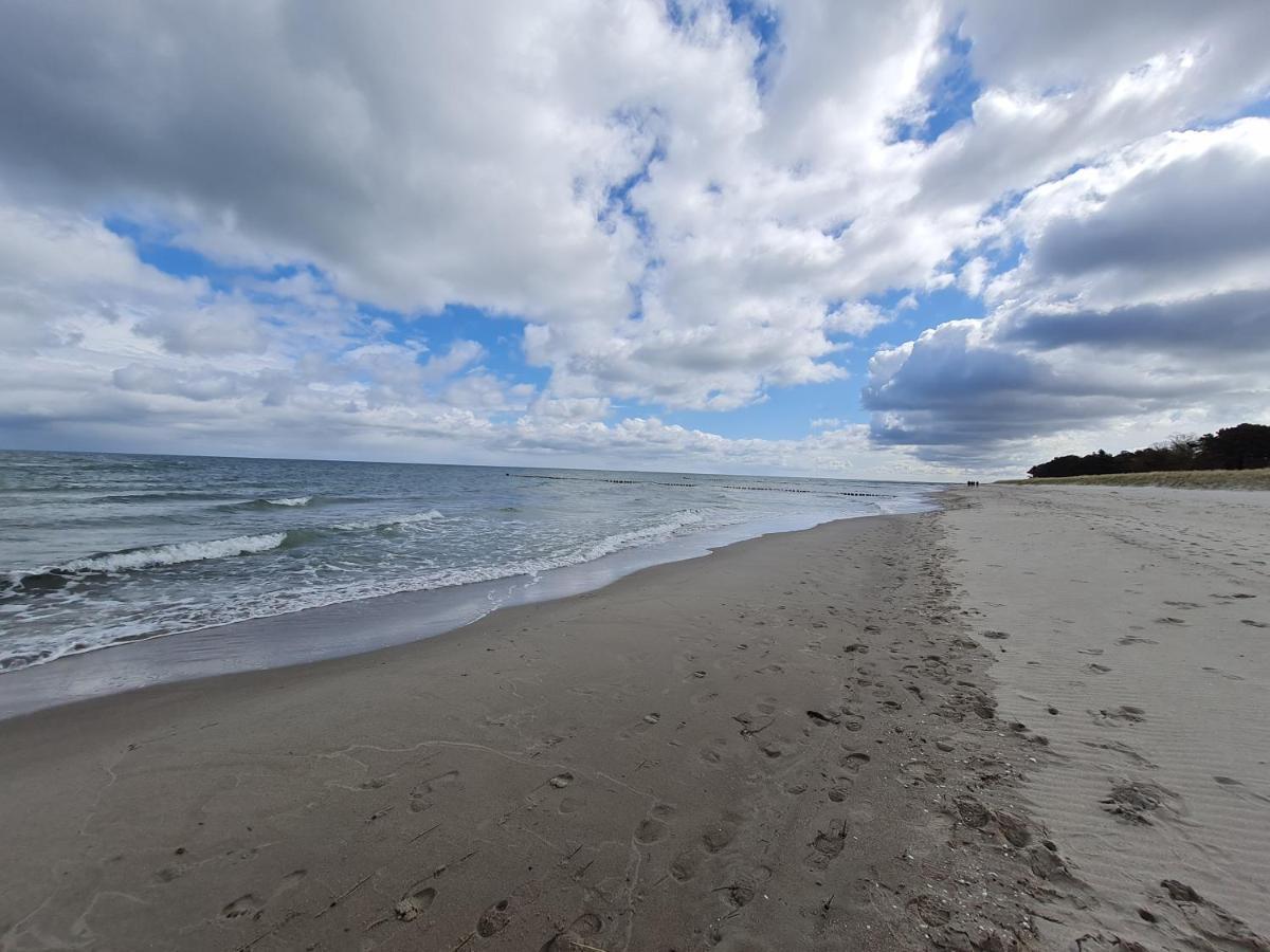 Zingst Achtern Diek 12D Elly Eksteriør bilde