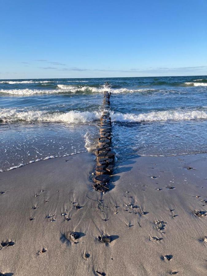 Zingst Achtern Diek 12D Elly Eksteriør bilde